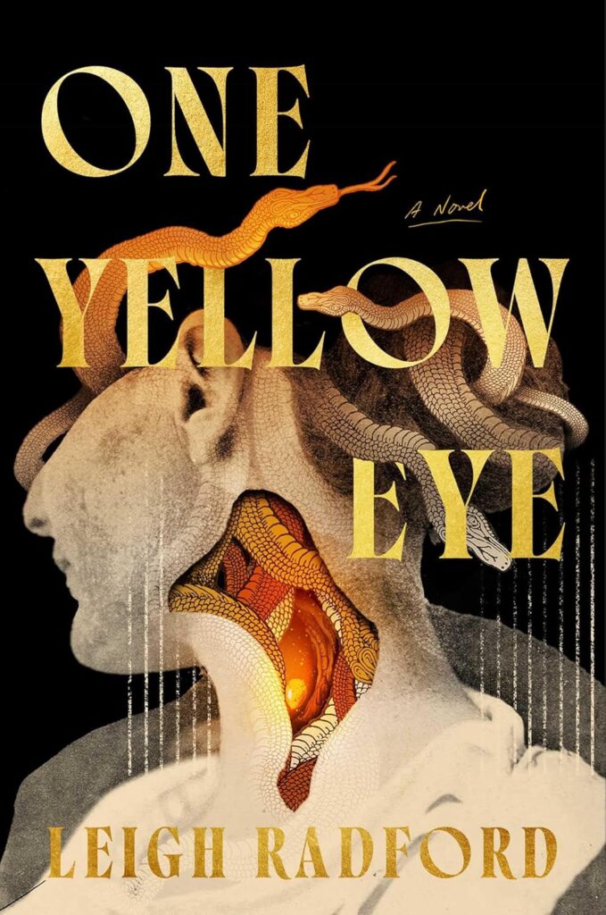 One Yellow Eye By Leigh Radford 679x1024